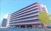 セザール第2札幌の外観画像