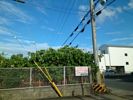 十市町倉庫 Bの外観画像