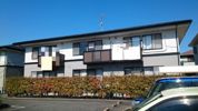 マーヴェラス Cの外観画像
