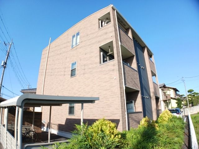 メープル シュガーの外観画像