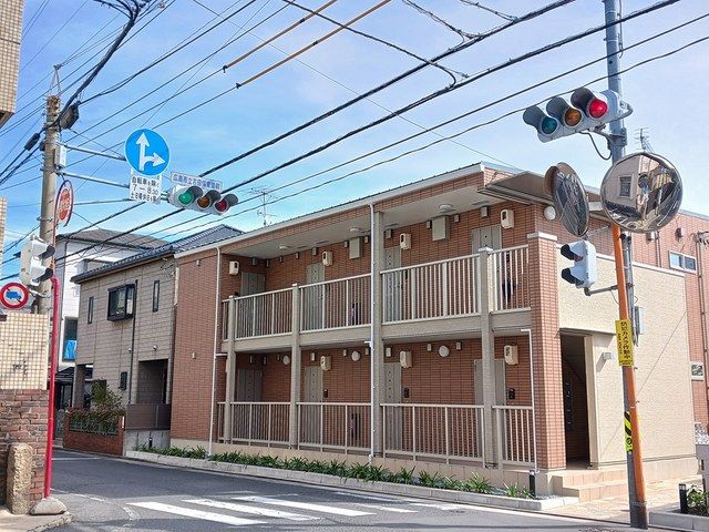 メインクーンの外観画像