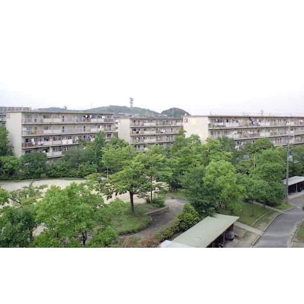 男山 D14の外観画像