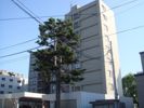 ライオンズマンション福住の外観画像