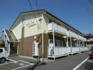 ダンディライオンの外観画像