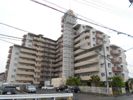 サンライズマンション岩出 Ⅰの外観画像