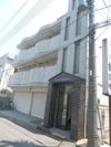 アムールISHIZUKA（野田市）の外観画像