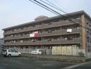 イングの外観画像