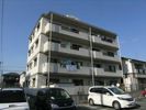 プラティーク月出の外観画像