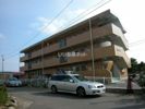 マンションライブインの外観画像