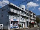 池善ビルの外観画像