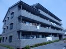たぶの木の家の外観画像