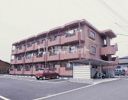 ロイヤルマンションの外観画像
