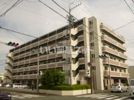ラフォーレ新津の外観画像