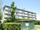 藤ヶ丘団地 6号棟の外観画像
