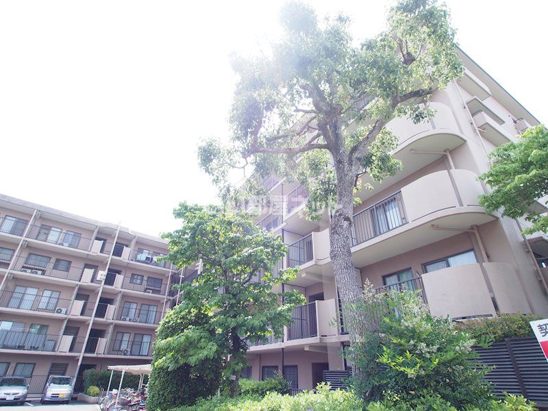 あやめ池グランドハイツB棟の外観画像