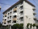 帯山ハイツの外観画像