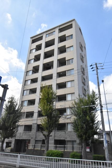 オスマンサスフラグランスの外観画像