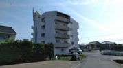 その木ハイツの外観画像