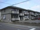 パミドール Cの外観画像