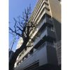 アルム幡ケ谷の外観画像