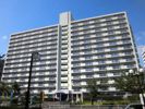 ビレッジハウス木場タワーの外観画像