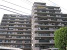 ライオンズガーデン大宮指扇の外観画像
