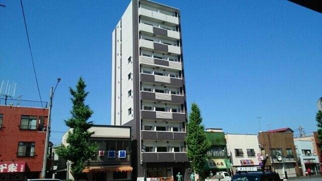 ベラ セラータの外観画像