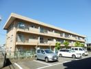 グリーンハイム綱島の外観画像