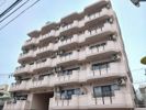 メゾン泉川の外観画像