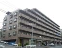 日神パレステージ横濱の外観画像