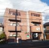 シャロム板花の外観画像