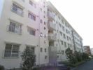 西一社団地13棟の外観画像