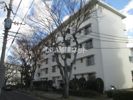 美室団地10棟の外観画像