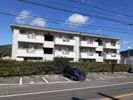 ニューエルディム土居の外観画像