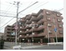 日神パレステージ 草加新田の外観画像