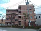 フェリチタの外観画像