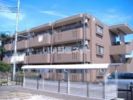 Y.M.Terauchiの外観画像