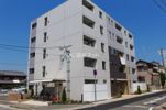 ファレノプシスの外観画像