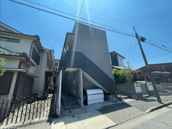 Caminoalta黄金(カミノアルタコガネ)の外観画像