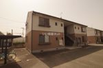 アンシェラ形貝の外観画像
