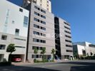 プレール・ドゥーク新丸子の外観画像