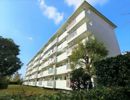花見川住宅6街区3号棟の外観画像