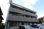 アンプルール フェール REALLIFE Ⅱの外観画像