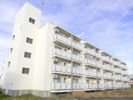 ビレッジハウス仁井田4号棟の外観画像