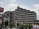 アンピール第5新室見の外観画像