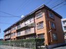 マンションコスモスの外観画像