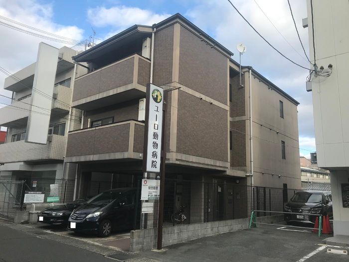 ドミール関大前の外観画像