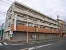 メゾンドールサカエの外観画像