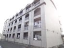 パレスヨーコーの外観画像