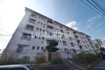 小金原団地7－1街区の外観画像